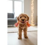 Köpek Isırma Oyuncağı Diş Kaşıma Çiğneme Kemirme Halatı Çekiştirme At Getir Oyun Kaşıyıcı Stres İpi (Pembe-Turuncu-Sarı)