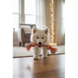 Köpek Isırma Oyuncağı Diş Kaşıma Çiğneme Kemirme Halatı Çekiştirme At Getir Oyun Kaşıyıcı Stres İpi (Pembe-Yeşil-Turuncu)