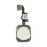 Köpek Kedi Zincir Uzatma Gezdirme Tasma Hrb-059
