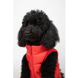 Köpek Kıyafeti, Puffer su geçirmez köpek montu, Küçük ve orta ırk köpek kıyafeti (Kırmızı, Medium)