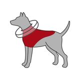Köpek Koruyucu Şişme Yakalık Xs, Mavi - # - -- - Option-1