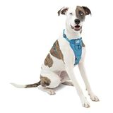 Köpek Koşum Takımı | Pet Walking Koşum Takımı | No Pull Koşum Ön Klips Fonksiyonu Antrenman İçin | Araç Emniyet Kemeri | Tru-Fit Hızlı Kilit Tarzı | Orta | Mavi