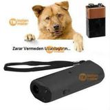 KÖPEK KOVUCU