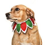 Köpek Lastikli Yılbaşı Yakalık Zazu