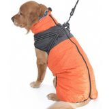 Köpek Mont Flarex Tasmalı