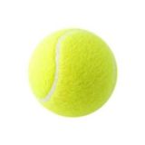 Köpek Oyuncağı 1 Adet Sarı Tenis Topu