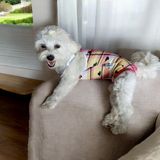 Köpek Regl Külotu ,dişi Köpek Regl Zıbın Külot, Dişi Köpek Periyot Külotu - Pembe
