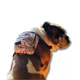 Köpek Sırt Çantası – 2’Si 1 Arada Göğüs Tasması Fonksiyonlu, Geri Dönüştürülmüş, Su Geçirmez, Ayarlanabilir, Küçük & Büyük Irklar İçin, Çantalı Göğüs Tasması,Small,Whitebone