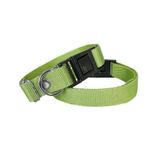 Köpek Tasması Dokuma 2 cm - Min: 30 cm - Max: 50 cm Yeşil