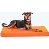 Köpek Yatağı Minderi 70x110 Turuncu 10 Cm Yükseklik