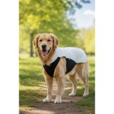Köpek Yelek Termal Polar, Göğüste Su İtici Scuba (Dalgıç Kumaş), Hafif ve Şık Tasarım (X-Large)