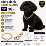 Köpek Zincir Boyun Tasması 38 Cm Paslanmaz Çelik 4 Mm Kalınlık - Altın