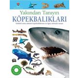 Köpekbalıkları - Yakından Tanıyın - Miranda McQuitty