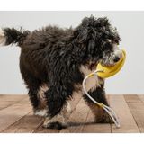 Köpekler İçin Fırlatma ve Su Oyuncağı