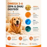 Köpekler Için Omega 3-6 Balık Yağı Tüy ve Deri Bakımı Epa Dha Destekli 200 ml