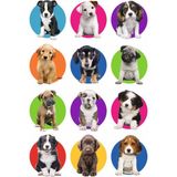 Köpekler Sticker Telefon Laptop Notebook Tablet Defter Matara Stiker Etiket ST900