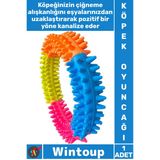 #Köpekoyuncağı Diş Kaşıma Temizleyici Top Eğitici Dayanıklı Kauçuk İnteraktif Köpek Isırma Oyuncağı