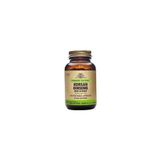 Korean Ginseng( Panax Ginseng ) 50 Kapsül
