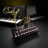 Korg 417 SQ-1 Adımlı Sıralayıcı (Profesyonel - Sequencer) | 2x8 Adım, CV/Gate ve USB Bağlantısı, Analog Synth Kontrolü,