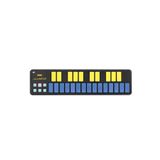 Korg Nano Key 2-BLYL