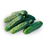 Kornişon Salatalık Tohumu 15 Tohum + Süpriz Hediye Sebze Tohumu
