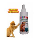 Korpet Doğal Catnip Kedi Oyun Spreyi Kedi Nane Suyu Kedi Oynatıcı Sprey 125 Ml