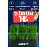 KorPet Doğal Kedi Çimi (üy Yumağı Önleyici, Sindirim Destekleyici)