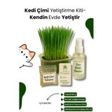 KorPet Kedi Otu Çimi Kiti – Evde Yetiştir, Pratik ve Eğlenceli Set 4 Parça