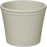 Korsbarsbjork Toprak Saksı Açık Gri Bej 9 x 9 cm - 10 cm