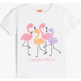 Koton Kız Çocuk Flamingo Baskılı Pamuklu Kısa Kollu Tişört Günlük Stil 9 - 12 Ay - Beyaz