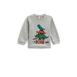 Koton Pamuklu Gri 12/18 Ay Dinozor Baskılı Uzun Kollu Erkek Bebek T-Shirt
