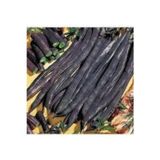Köy Tohumları 150 Adet Tohum Nadir Siyah Olive Bean Organik Hasat Siyah Fasulye Tohumu Köy Tohumudur