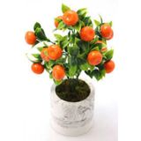 Köy Tohumları 5 Adet Tohum Bodur Bonsai Mandalina Bonzai Ağacı Tohum Sürpriz Hediye Bonsai Ağacı Tohum