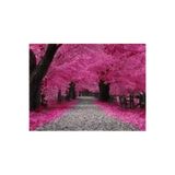 Köy Tohumları 5 Adet Tohum Nadir Bulunan Japon Pembe Sakura Ağacı Tohumu İthal Ağaç Tohumu Hediye Tohumlu