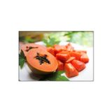 Köy Tohumları 5 Adet Tohum Organik Tropikal Papaya Meyve Ağacı Ağaç Tohumu Saksı Toprak Hediyelidir