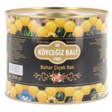 Köyceğiz Balı 2,85 kg Bahar Çiçek Balı Teneke