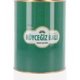 Köyceğiz Çam Balı 4850 gr
