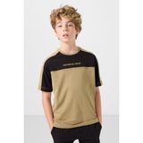 Koyu Bej Pamuklu Yumuşak Dokulu Oversize Fit Nakışlı Erkek Çocuk T-Shirt - 11290 - 10 - 11 Yaş