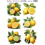 Koyu Zemin Sulu Transfer Kağıdı 25X35cm Kst-131 Limon