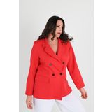Koza Butik Kadın Astarlı Büyük Beden Blazer Ceket 0101-1