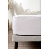 Koza Home A.Gri Tek Kişilik Penye Fitted Lastikli Çarşaf 2526 - 100 x 200