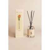 Koza Home Ginger Oda Kokusu Bambu Çubuklu 250 ML