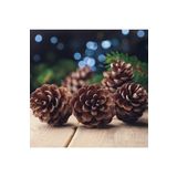 Kozalak Yılbaşı Hediyeleri Yılbaşı Çam Ağacı Süsü Bereket Kozalağı 4-6 Cm 8'lı