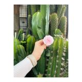 KOZALILAR Yapay Çiçek 10'lu Mini Boy Tek Baş Katmerli Gül TATLI PEMBE (Çap:5,5 cm)