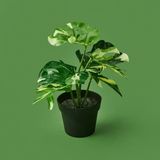 Kpm Botta Asorti 24 cm Çiçek