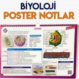 Kr Akademi Yayınları Biyoloji Poster Notlar