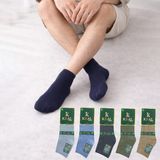 Kral Socks Erkek Bambu Patik Düz Desen (5 Çift) Dikişsiz Çorap - 40 - 44 - Bej - Kahverengi - Yeşil