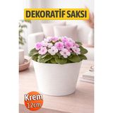 Krem Renk Kırılmaz Esnek Plastik Balkon Saksısı 12 cm Orkide Bitki Genel Kullanım Saksı