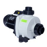 Kripsol Niger Kng 1,5 HP Trifaze Pool Pump Havuz Pompası