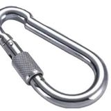 Krom Vidalı Karabina 10mm